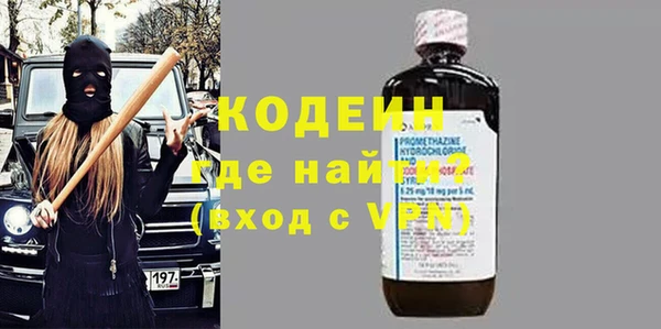 гашик Пересвет