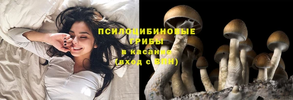 эйфоретик Абдулино