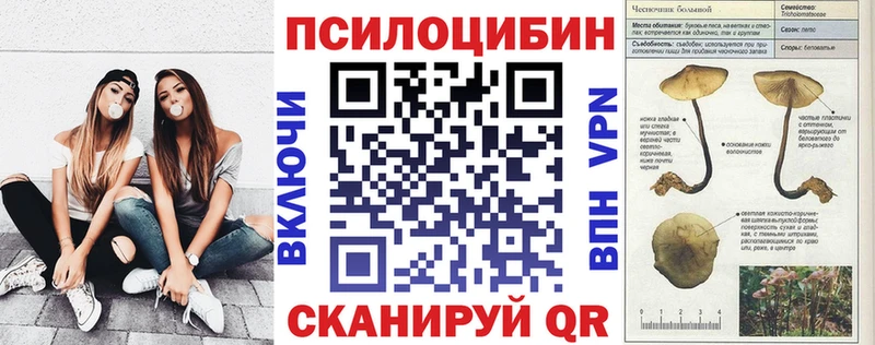 darknet наркотические препараты наркошоп Кингисепп Галлюциногенные грибы мухоморы